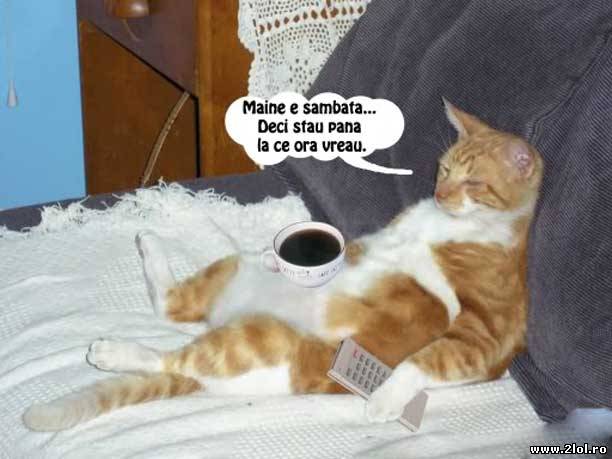 Beneficile zilei de vineri poze haioase