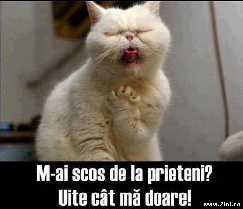 M-ai scos de la prieteni? poze haioase