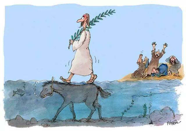 Deci așa a mers pe apă? poze haioase