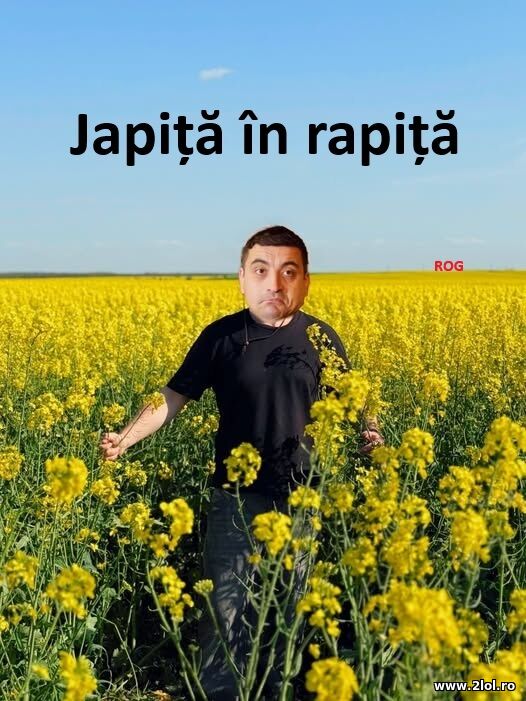 Japita in rapita poze haioase