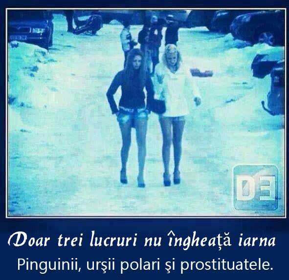 Trei lucruri care nu îngheață iarna poze haioase