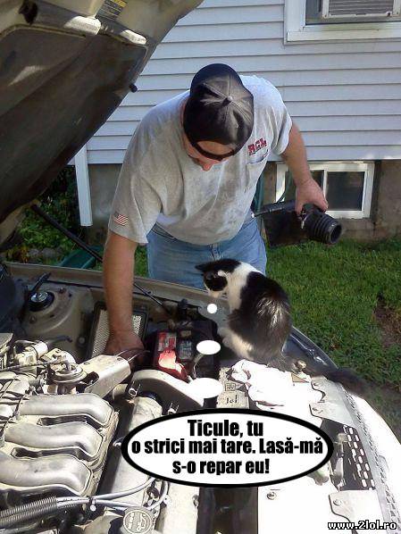 Ticule, ascultă-l ce-ți zice poze haioase