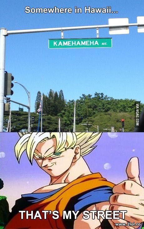 Somewhere in Hawaii - DBZ poze haioase