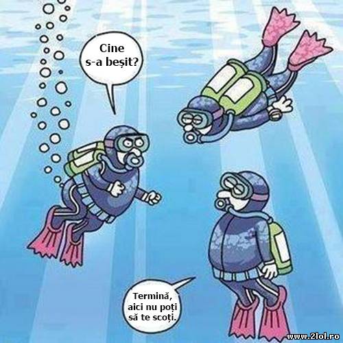 De acum o să știi cine trage un pârț poze haioase