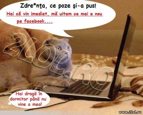 Până la urmă cine-i zdreanța poze haioase