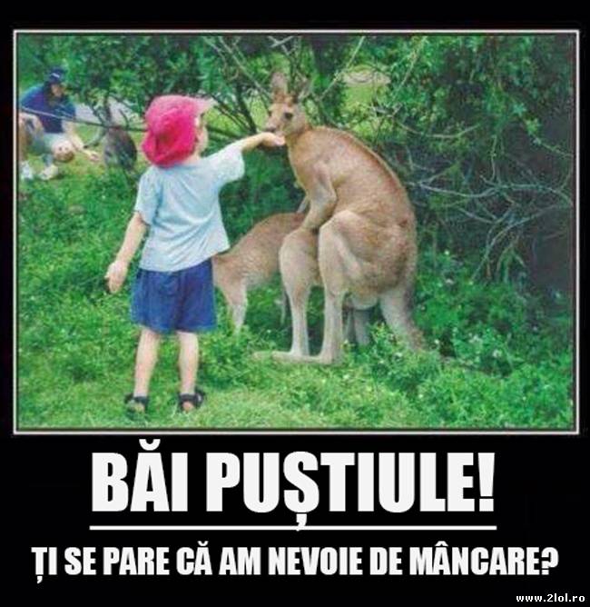 Puștiul a vrut să fie politicos poze haioase