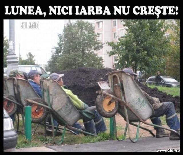 Lunea, nici iarba nu creste poze haioase