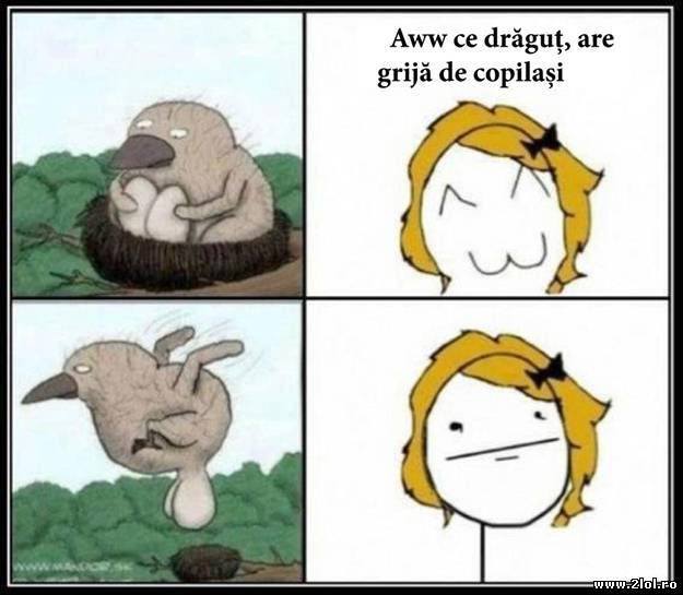 Ce drăguț, are grijă de copilași poze haioase