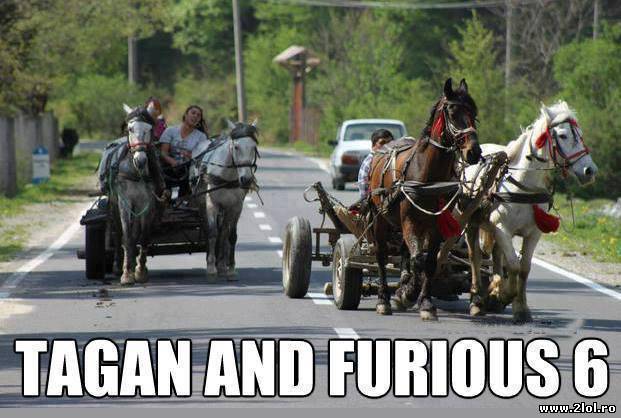 Liniutele între ţigani poze haioase