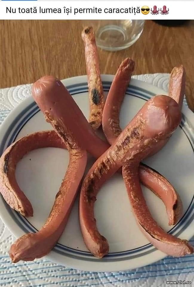 Nu toata lumea isi permite caracatita poze haioase