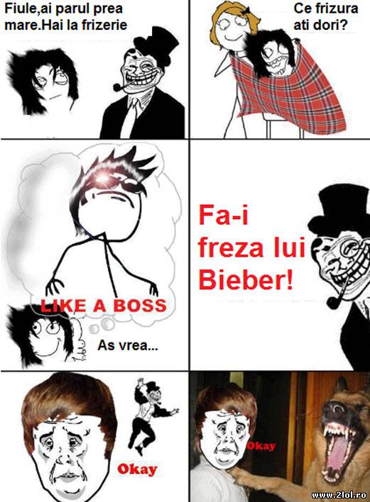 Freză de râd și câinii poze haioase