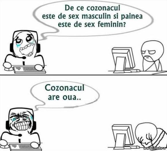De ce cozonacul este de sex masculin? poze haioase