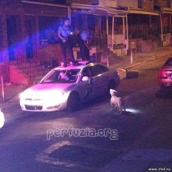 Cum tocmai ei, oamenii legii s-au speriat de un poze haioase