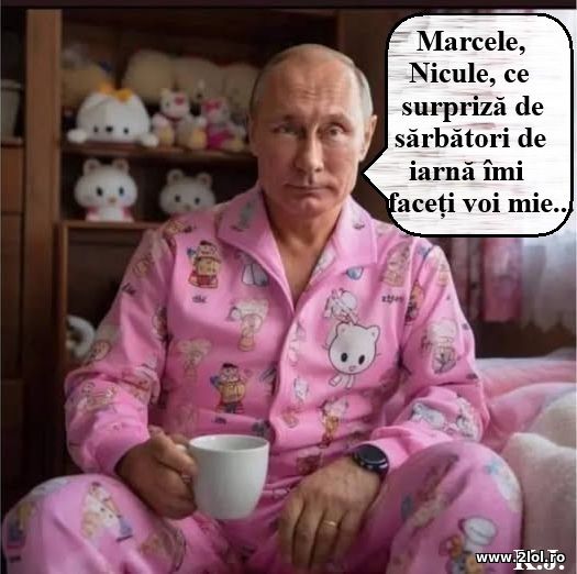 Marcele, Nicule ce surpriza de sarbatori de Iarna poze haioase