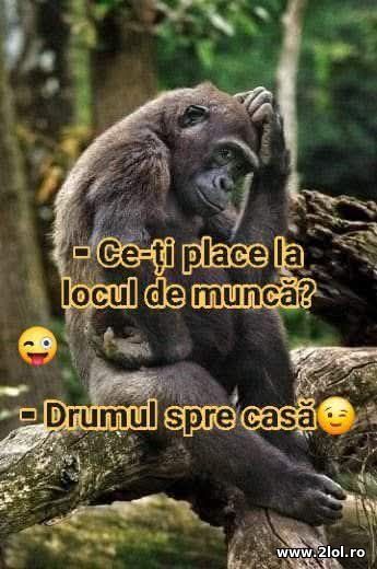 Ce-ti place la locul de munca? poze haioase
