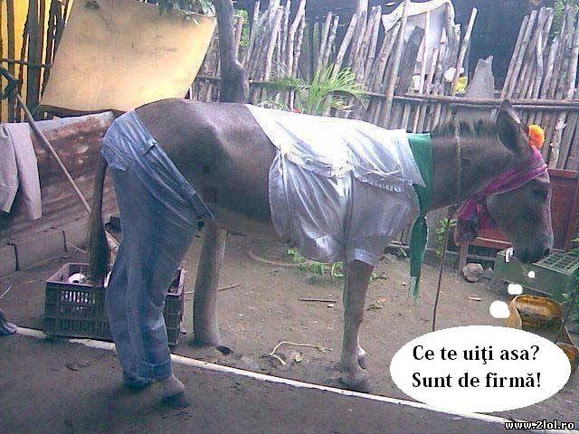 Ce contează cum eşti îmbrăcat? Contează firma! poze haioase