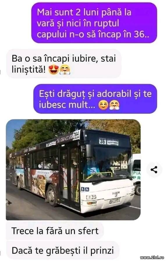 N-o sa incap in 36 poze haioase