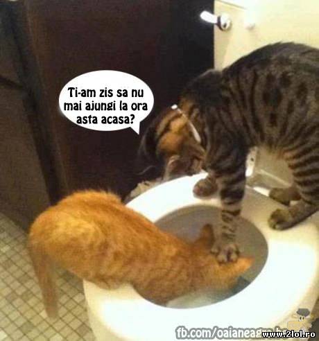 Ai grijă la ce oră ajungi acasă poze haioase
