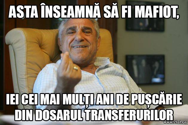 Asta înseamnă să fi mafiot poze haioase