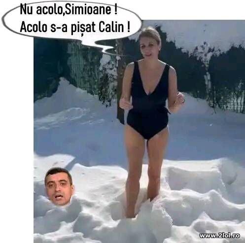 Nu acolo, Simioane poze haioase