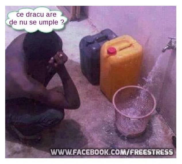 Enigma unui dobitoc poze haioase