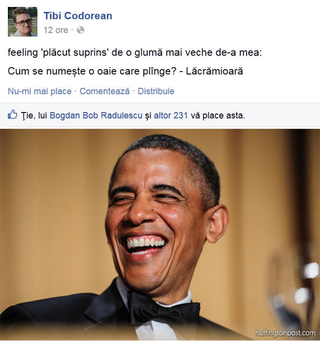 Cum se numește o oaie care plânge poze haioase