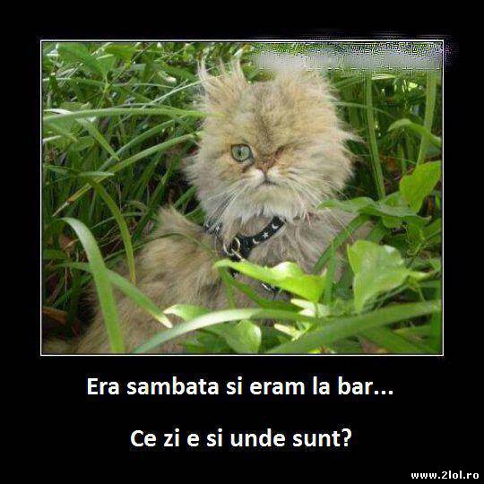 Și tu ai avut asemenea sâmbete? poze haioase