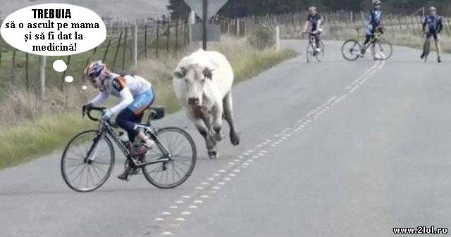 Măcar va ajunge unde ajung absolveții din medicină poze haioase