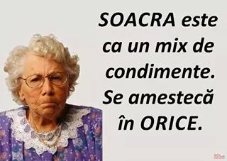 Cum este soacra poze haioase