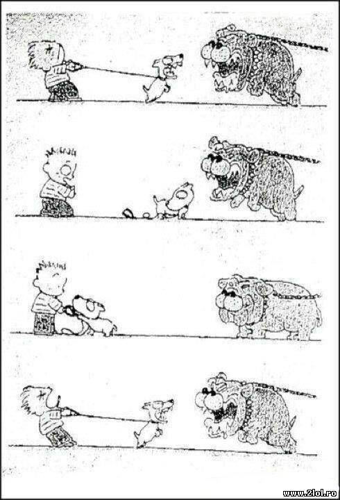 Cand sunt cainii curajosi poze haioase