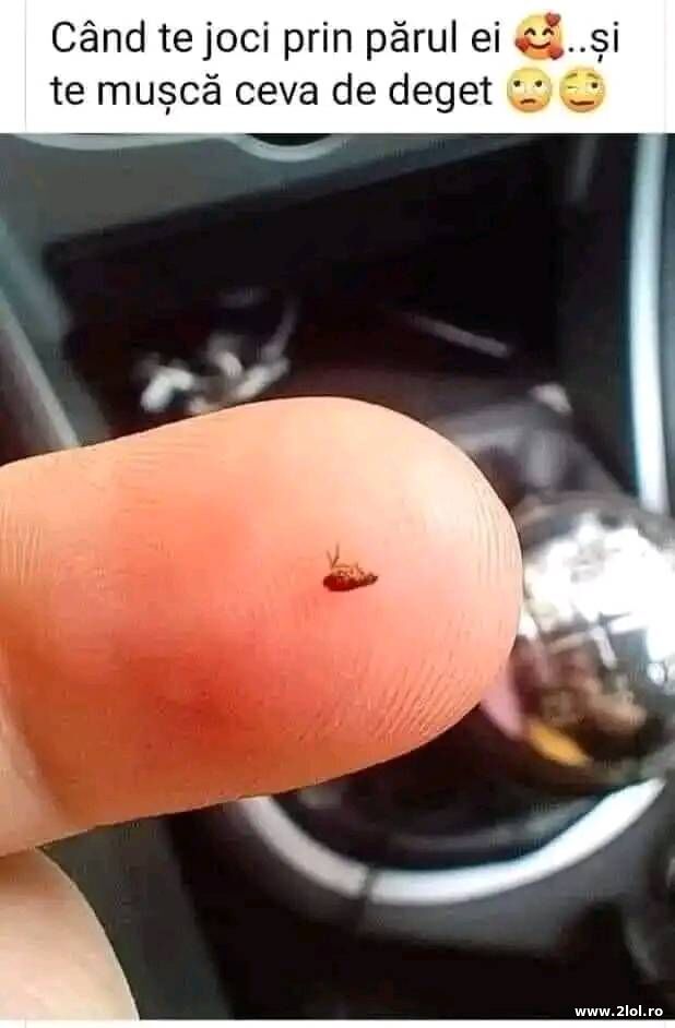 Cand te joci prin parul ei poze haioase