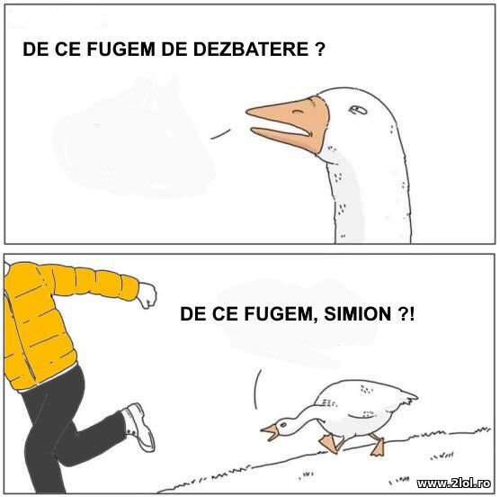 De ce fugem de dezbatere? poze haioase