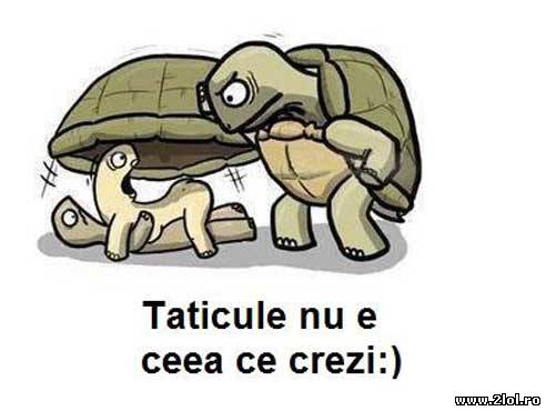 Coşmarul celor trei, în acelaşi timp poze haioase