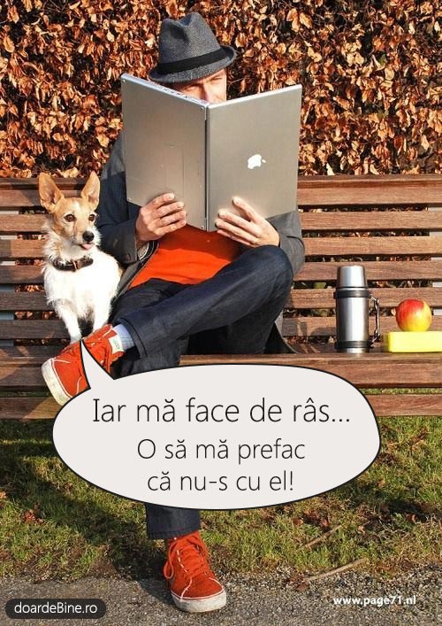 Nu-ți face câinele de rușine! poze haioase