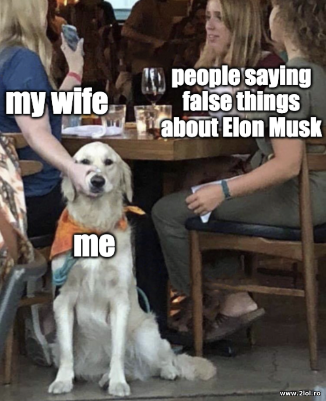People saying false things about Elon Musk poze haioase