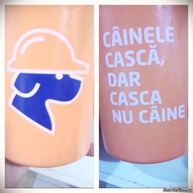 Câinele cască, dar casca nu câine poze haioase