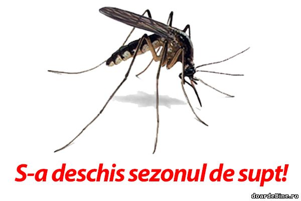 Vara nu vine singură poze haioase