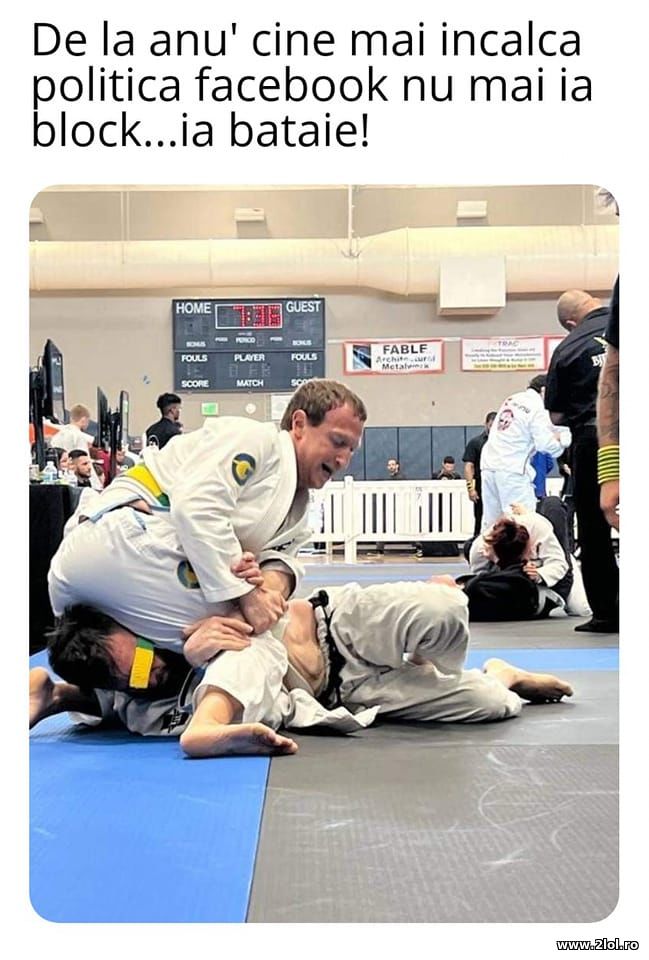 Cine incalca pollitica Facebook poze haioase