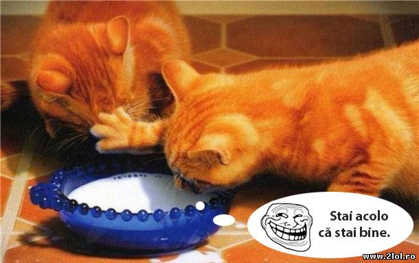 Stai acolo că stai bine poze haioase