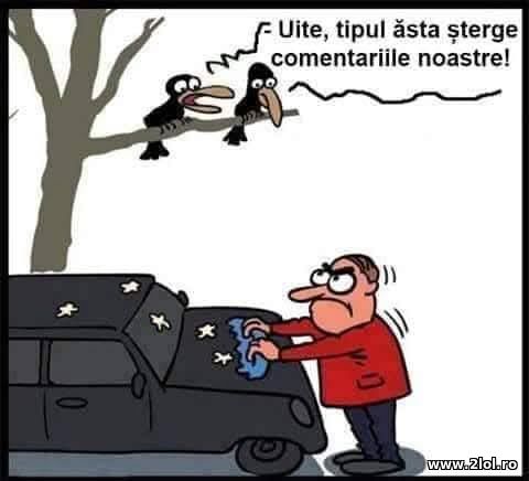 Tipul acesta sterge comentariile noaster poze haioase