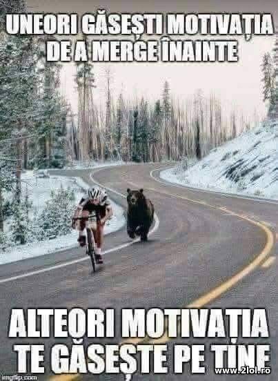 Uneori gasesti motivatia poze haioase