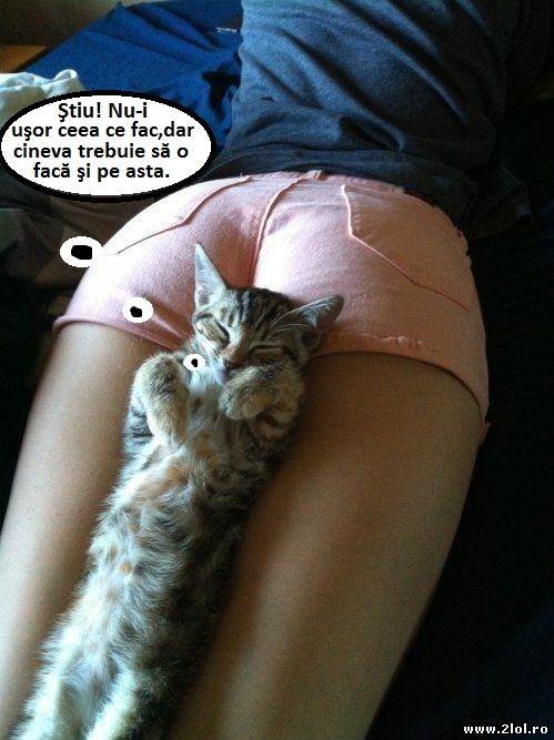 Și lucrurile grele trebuie făcute de cineva poze haioase