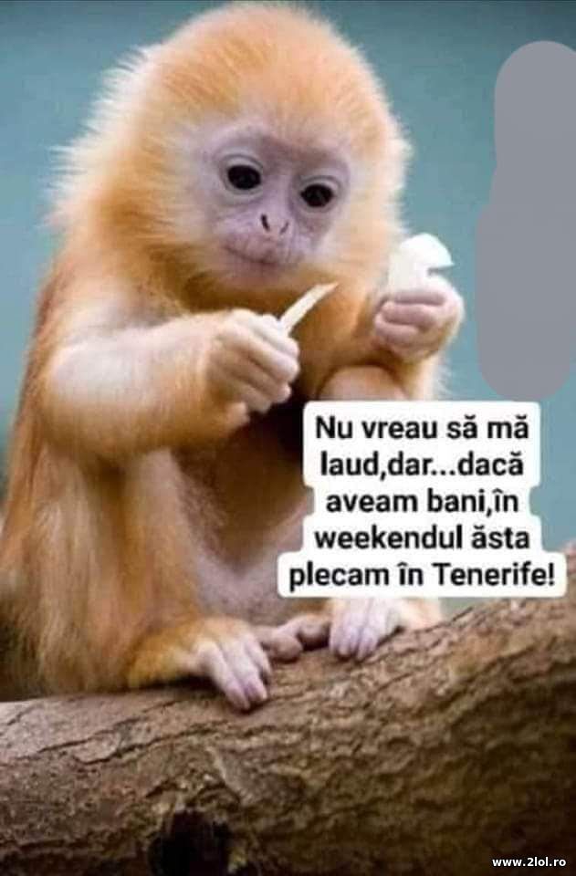 Nu vreau sa ma laud poze haioase