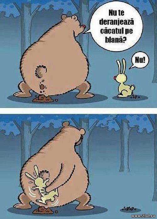 Frumos este să întebi poze haioase