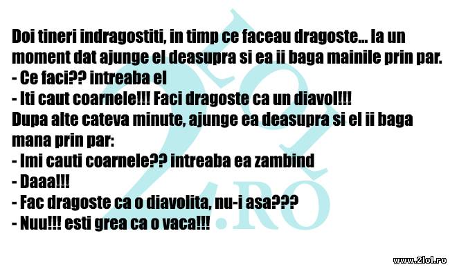 Îmi cauţi coarnele? poze haioase