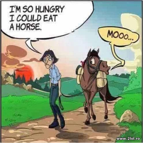 I'm so hungry I could eat a horse poze haioase