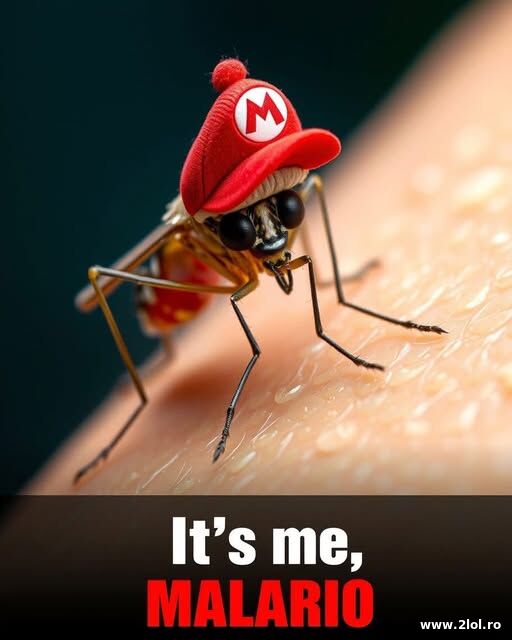 It's me poze haioase