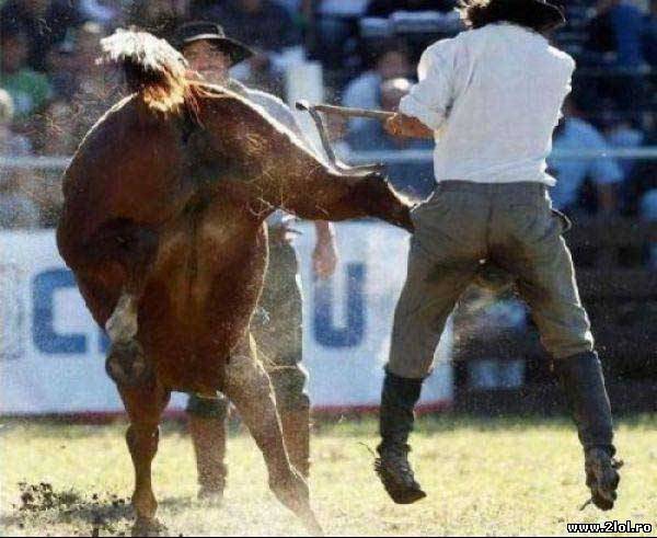 Sunt 99% șanse ca el să fi rămas fără bijuterii poze haioase