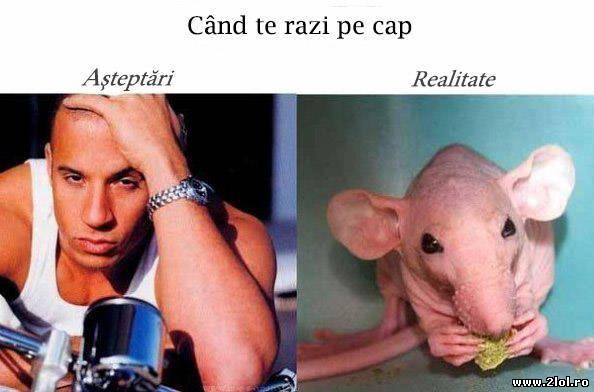 Atunci când te razi: așteptări vs realitate poze haioase