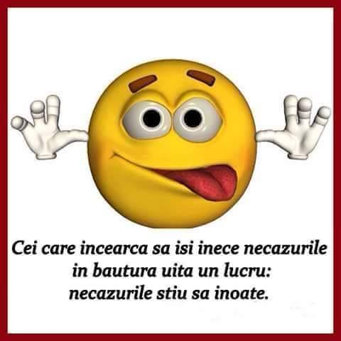 Necazurile rezolvate cu băutură poze haioase